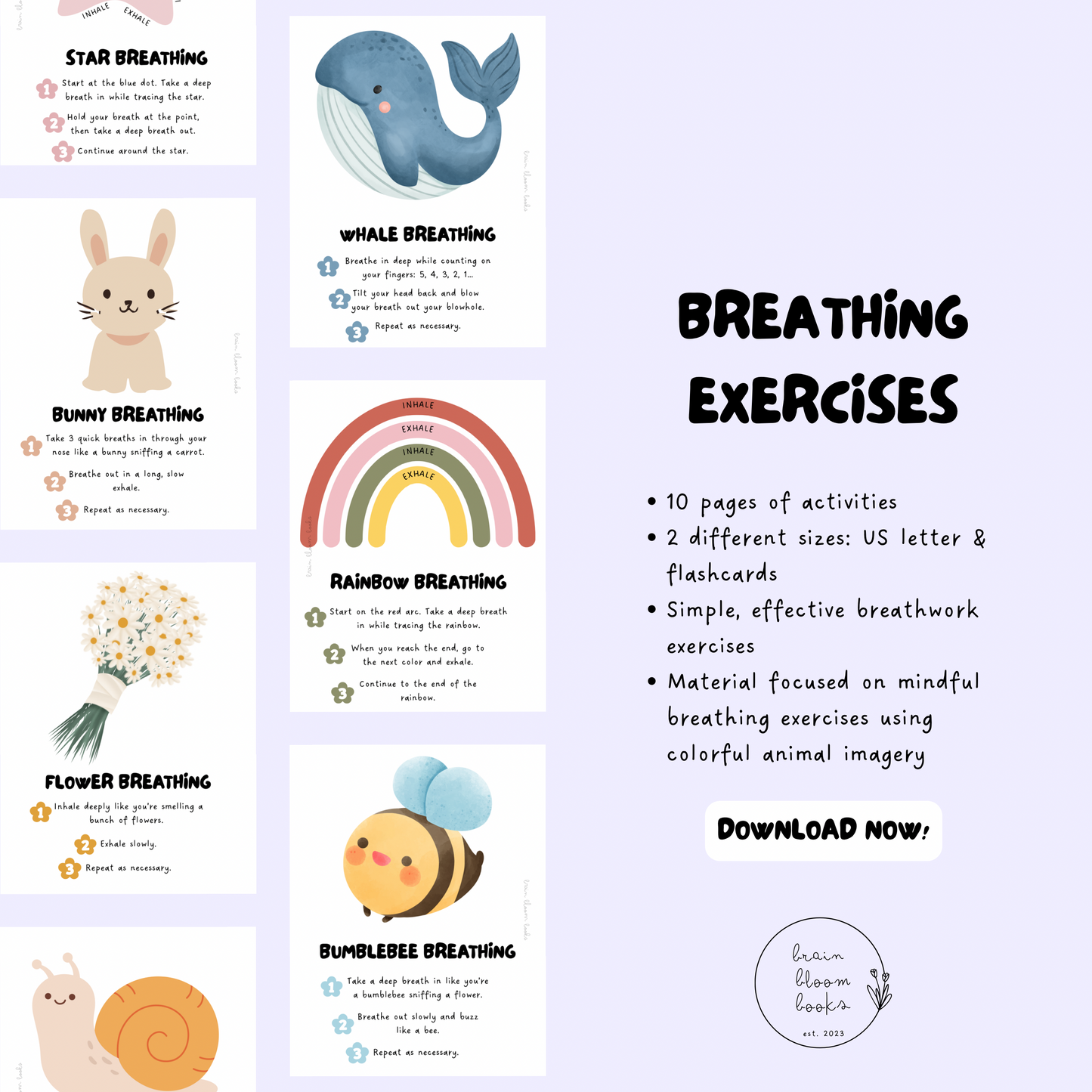 Printable PDF animal-inspired breathing exercises for children. 10 pages of simple, effective breathwork activities & instructions. 2 different sizes included: US letter and flashcards. Material focused on mindful breathing exercises using colorful animal products imagery. Instant download.